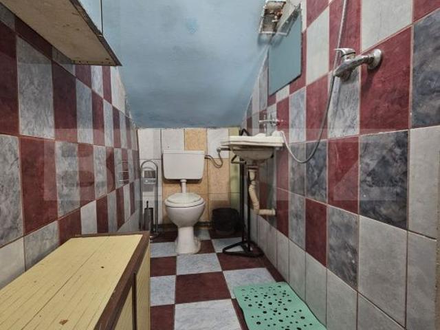 Apartament închirieri în Timisoara, Timiș