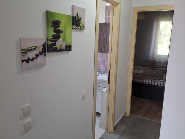 Apartament închirieri în Mircea Cel Batran, Iași