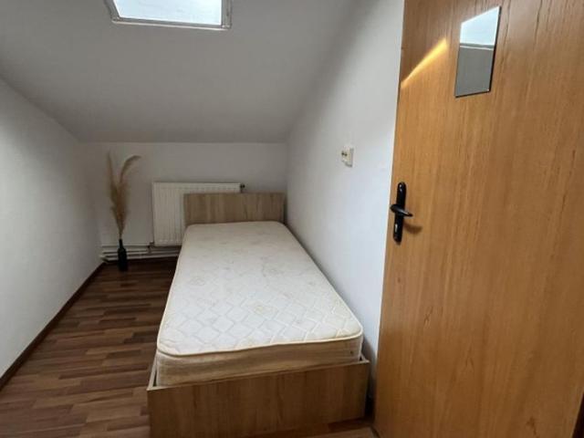 Apartament închirieri în Timisoara, Timiș