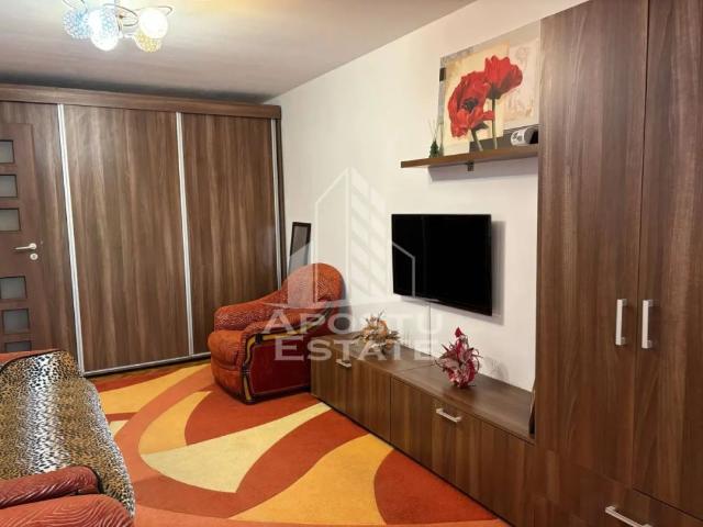 Apartament închirieri în Cetate, Timișoara