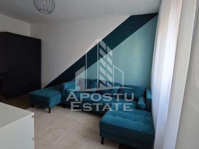 Cameră închirieri în Timisoara, Timiș