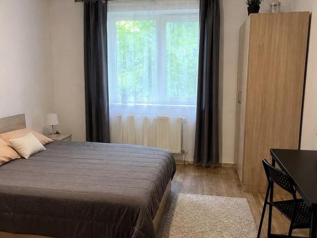Apartament închirieri în Timisoara, Timiș