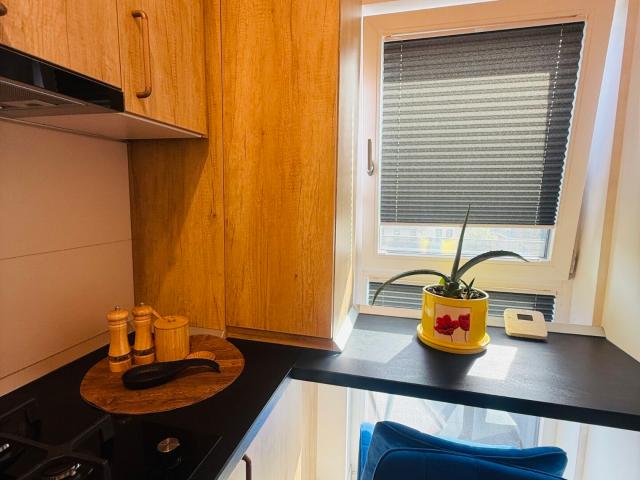 Apartament închirieri în Mircea Cel Batran, Iași
