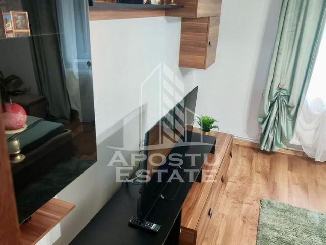 Cameră închirieri în Timisoara, Timiș