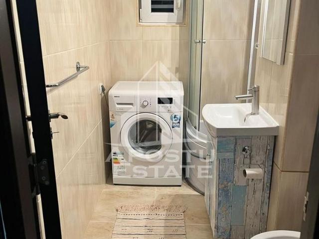 Cameră închirieri în Timisoara, Timiș