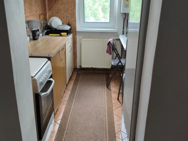 Apartament închirieri în Mircea Cel Batran, Iași
