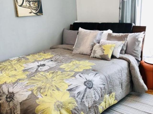 Apartament închirieri în Mircea Cel Batran, Iași