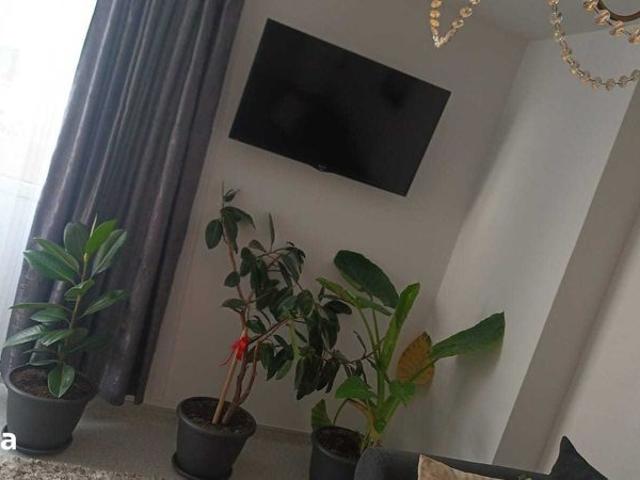 Apartament închirieri în Alba