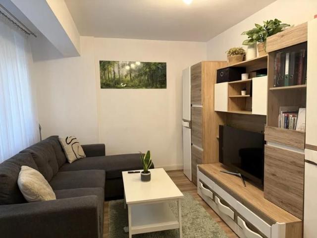 Apartament închirieri în Mircea Cel Batran, Iași