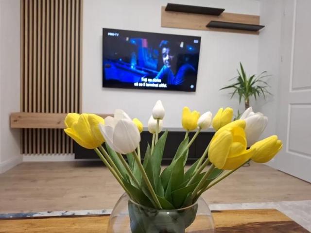 Apartament închirieri în Mircea Cel Batran, Iași