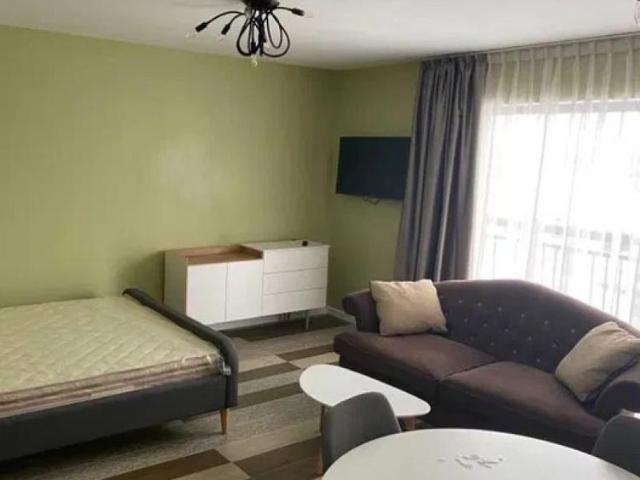 Apartament închirieri în Mircea Cel Batran, Iași