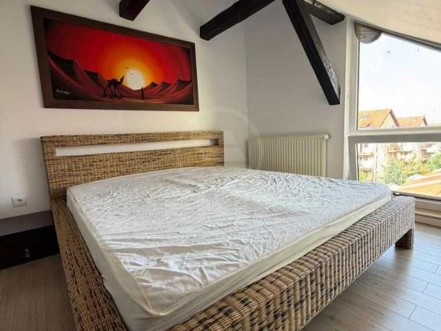 Apartament închirieri în Centru, Cluj-Napoca