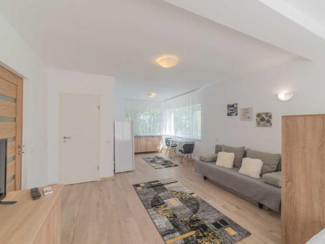 Apartament închirieri în Cluj-napoca, Cluj