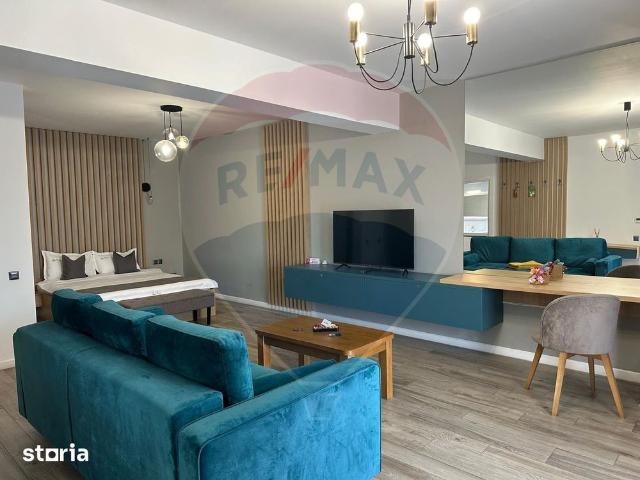 Apartament închirieri în Burila Mare, Mehedinți