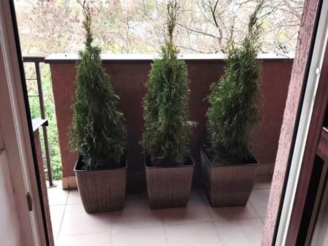 Apartament vânzări în Cluj-napoca