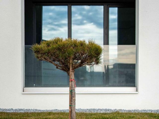 Apartament vânzări