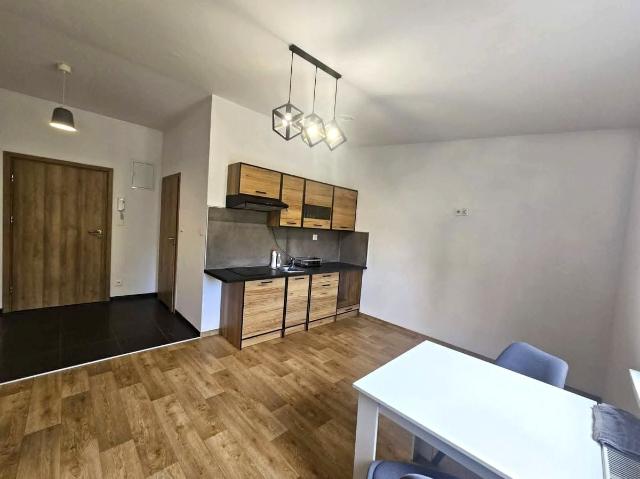 Mieszkanie do wynajęcia w Jelenia Góra, Dolnośląskie