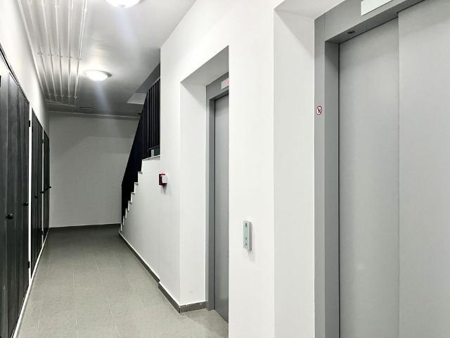 Apartament închirieri în Timisoara, Timiș