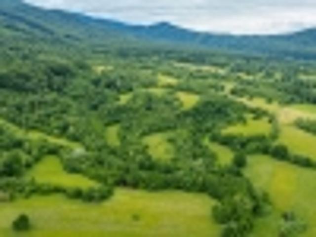 Proprietate vânzări în Cretuleasca, București