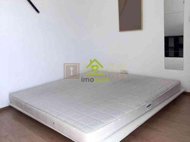 Apartament închirieri în Timisoara, Timiș