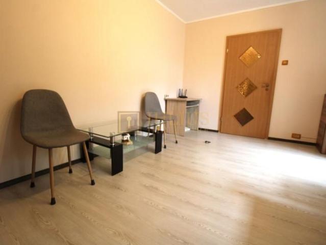 Apartament închirieri în Timisoara, Timiș
