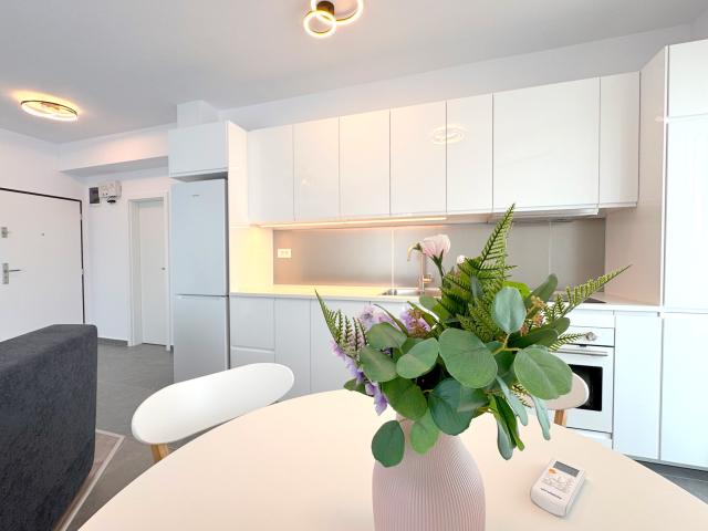 Apartament închirieri în Timisoara, Timiș