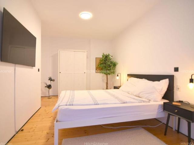 Apartament închirieri în Timisoara, Timiș