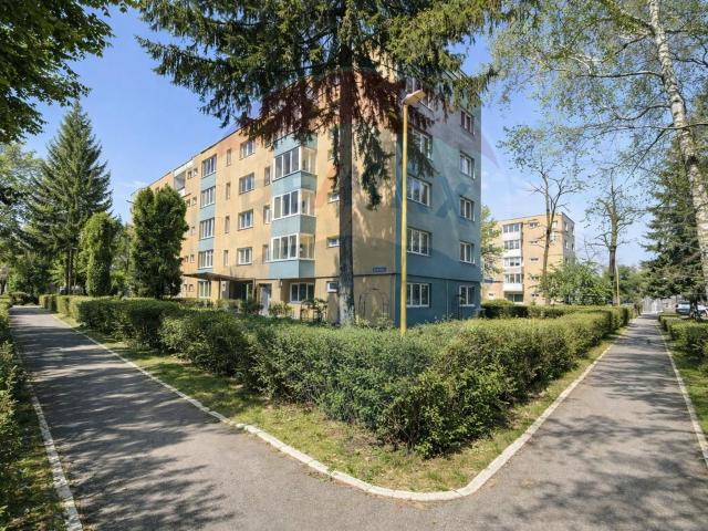 Apartament închirieri în Brașov