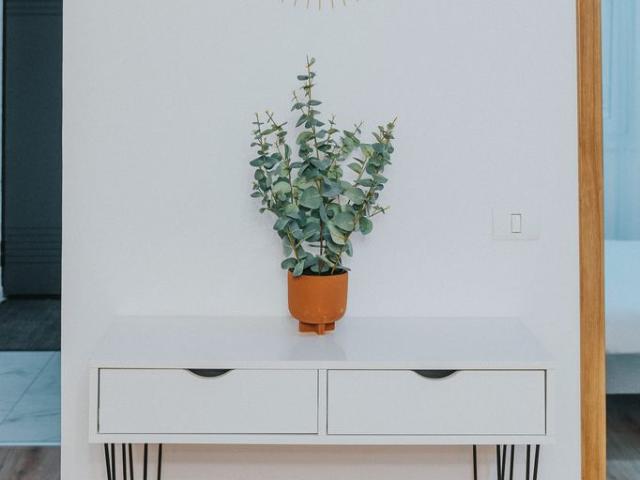 Apartament vânzări