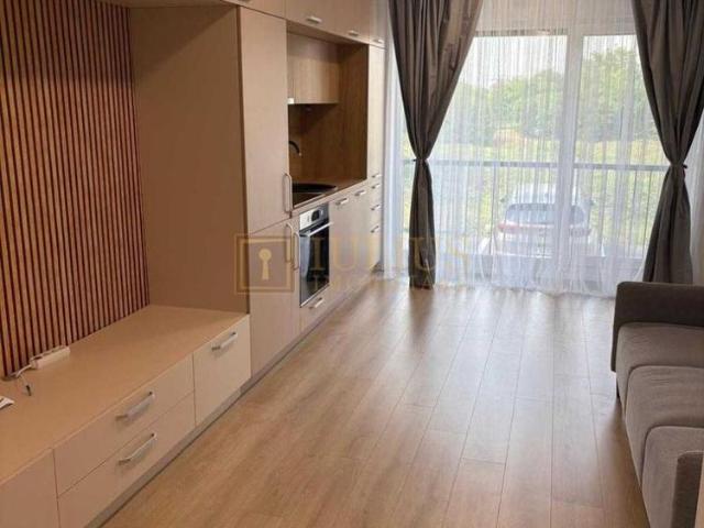 Apartament închirieri în Timisoara, Timiș