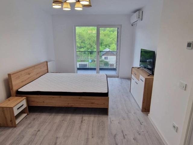 Apartament închirieri în Mircea Cel Batran, Iași