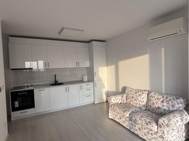 Apartament închirieri în Timisoara, Timiș