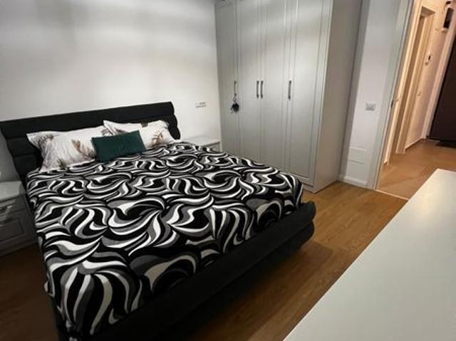 Apartament închirieri în Podu Roș, Iași
