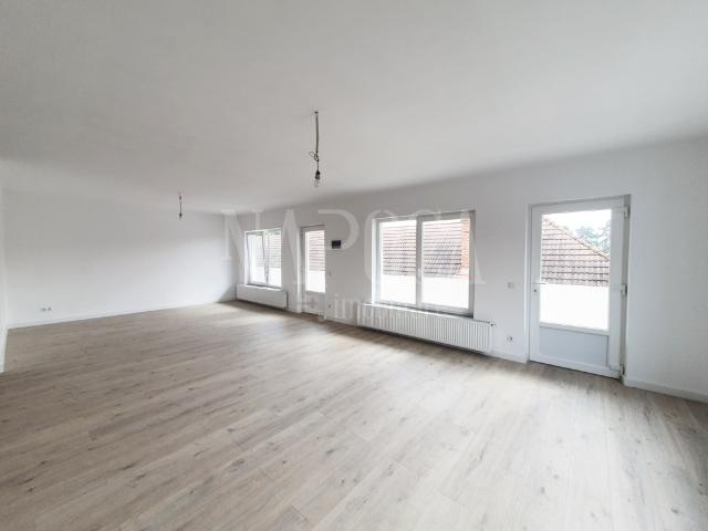 Apartament închirieri în Alba