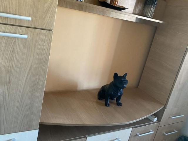 Apartament închirieri în Caraş-severin