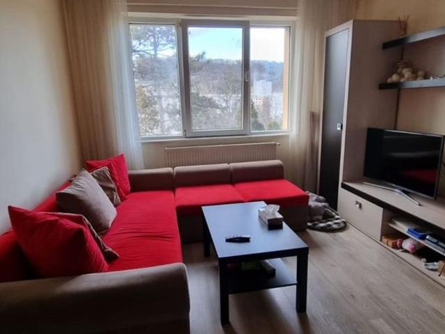 Apartament închirieri în Cluj-napoca, Cluj