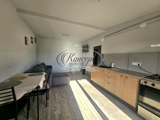 Apartament închirieri în Cluj