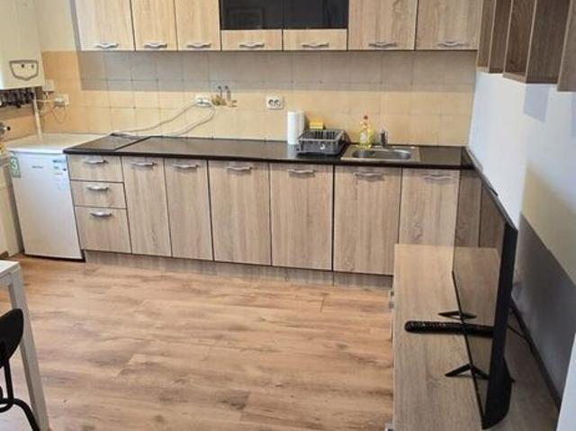 Apartament închirieri în Timisoara, Timiș