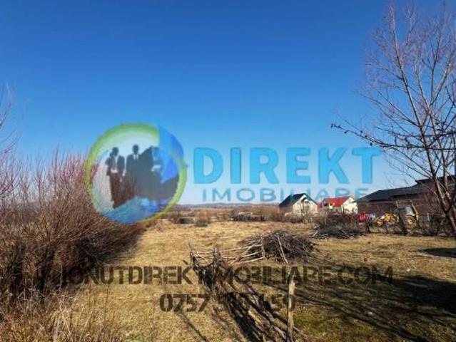 Apartament închirieri în Bistrita, Bistrița-năsăud