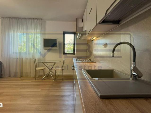 Apartament închirieri în Mircea Cel Batran, Iași