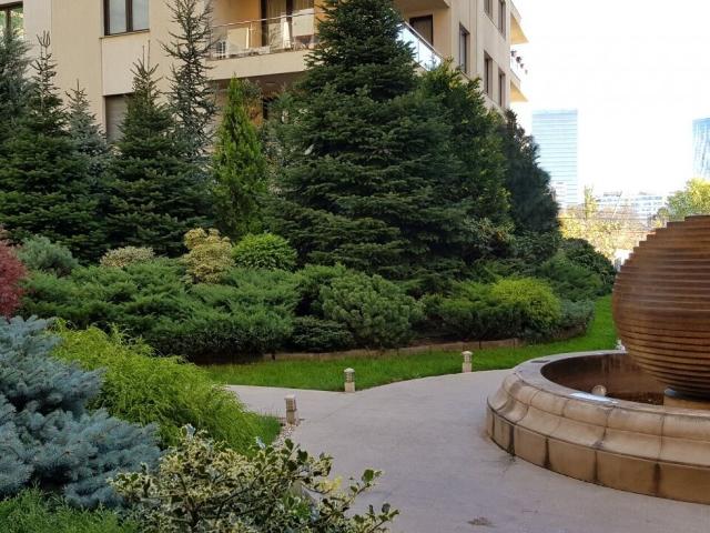 Apartament închirieri în Vrancea