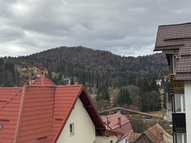 Apartament vânzări