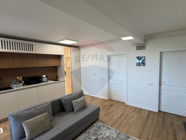 Apartament închirieri în Baia Mare, Maramureș