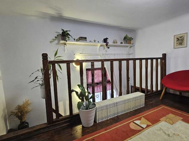 Apartament închirieri în Cluj-napoca, Cluj