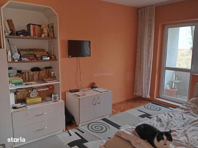 Apartament vânzări în Satu Mare