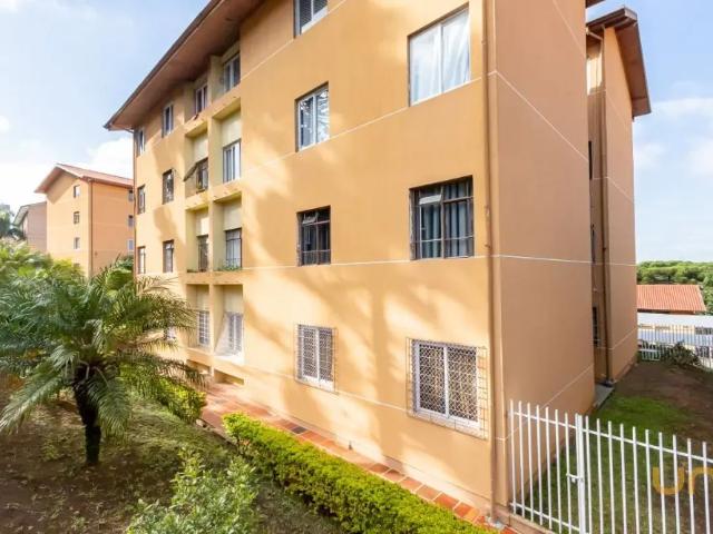 Apartamento aluguel em Região Geográfica Imediata de Curitiba, Região Metropolitana de Curitiba