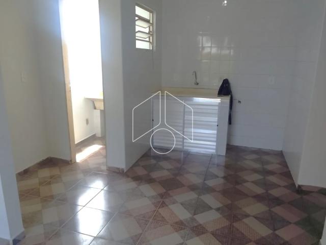 Apartamento aluguel em Região Imediata de Marília, Marília
