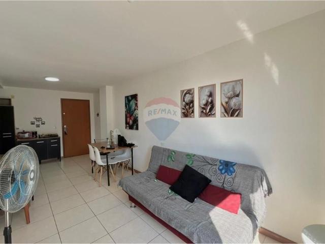 Apartamento aluguel em Região Geográfica Imediata de Santa Maria, Santa Maria