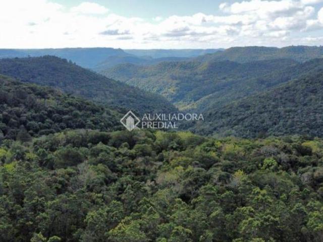 Apartamento venda em Região Geográfica Imediata de Caxias do Sul, Nova Petrópolis