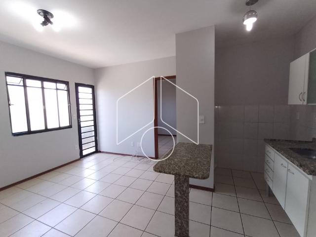 Apartamento aluguel em Região Imediata de Marília, Marília